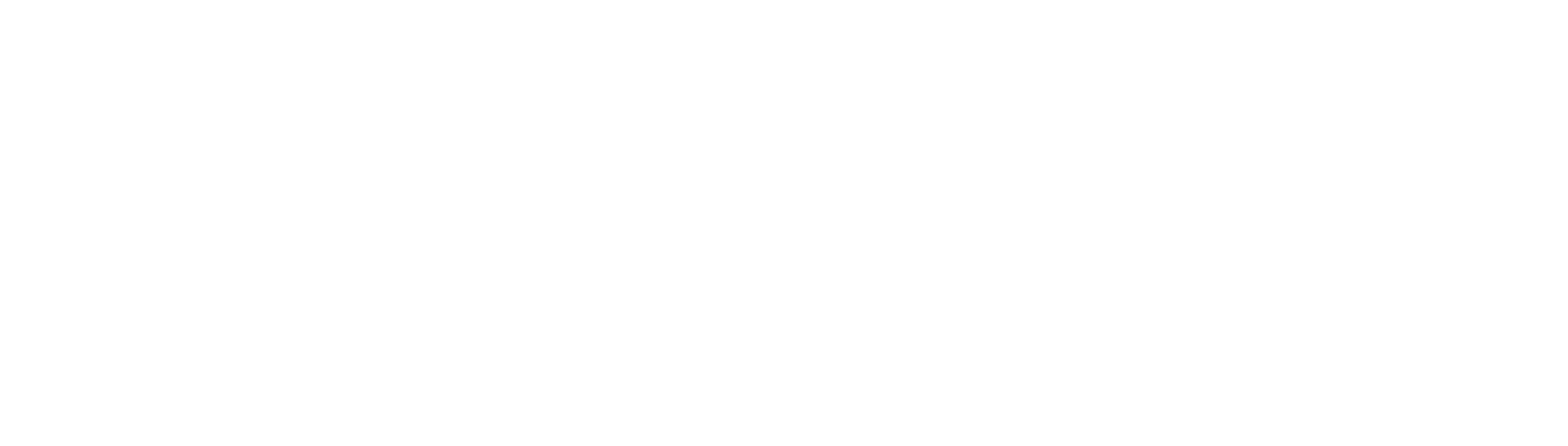 Logo RBT Visuals